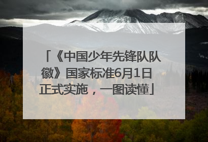 《中国少年先锋队队徽》国家标准6月1日正式实施，一图读懂