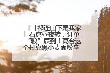 「祁连山下是我家」石磨昼夜转，订单“粮”辰到！高台这个村靠黑小麦面粉拿下成立来最大订单