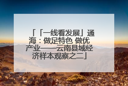 「一线看发展」通海：做足特色 做优产业——云南县域经济样本观察之二