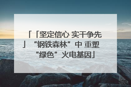「坚定信心 实干争先」“钢铁森林”中 重塑“绿色”火电基因