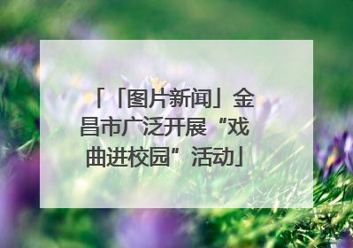 「图片新闻」金昌市广泛开展“戏曲进校园”活动