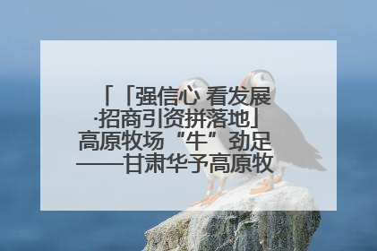 「强信心 看发展·招商引资拼落地」高原牧场“牛”劲足——甘肃华予高原牧场高标准奶牛肉牛养殖项目一线见闻
