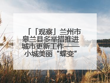 「观察」兰州市皋兰县多举措推进城市更新工作——小城美丽“蝶变” 居民幸福升级
