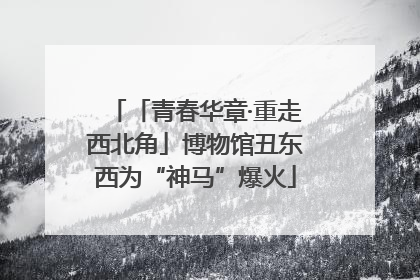 「青春华章·重走西北角」博物馆丑东西为“神马”爆火