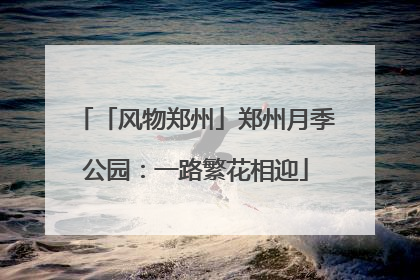「风物郑州」郑州月季公园：一路繁花相迎