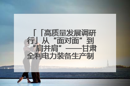 「高质量发展调研行」从“面对面”到“肩并肩”——甘肃全利电力装备生产制造项目一线见闻