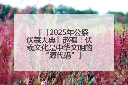 「2025年公祭伏羲大典」赵强：伏羲文化是中华文明的“源代码”