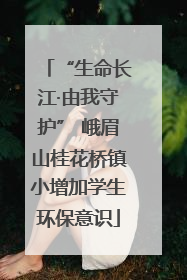 “生命长江·由我守护” 峨眉山桂花桥镇小增加学生环保意识