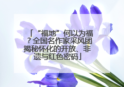“福地”何以为福？全国名作家采风团揭秘怀化的开放、非遗与红色密码