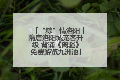 “粽”情洛阳丨隋唐洛阳城宠客升级 背诵《离骚》免费游览九洲池