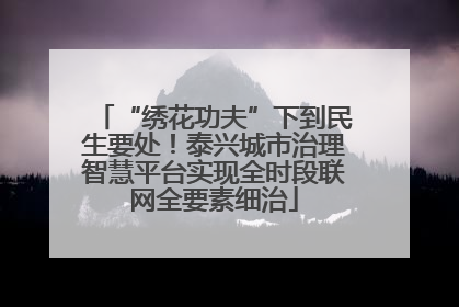 “绣花功夫”下到民生要处！泰兴城市治理智慧平台实现全时段联网全要素细治