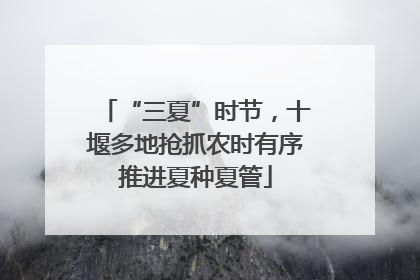 “三夏”时节，十堰多地抢抓农时有序推进夏种夏管