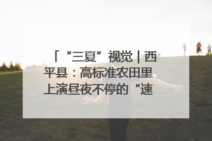 “三夏”视觉｜西平县：高标准农田里上演昼夜不停的“速度与激情”
