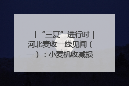 “三夏”进行时｜河北麦收一线见闻（一）：小麦机收减损“竞技” 农机高手麦田“过招”