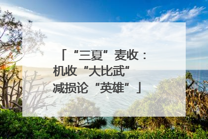 “三夏”麦收：机收“大比武” 减损论“英雄”