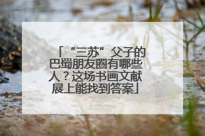 “三苏”父子的巴蜀朋友圈有哪些人？这场书画文献展上能找到答案