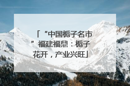 “中国栀子名市”福建福鼎：栀子花开，产业兴旺