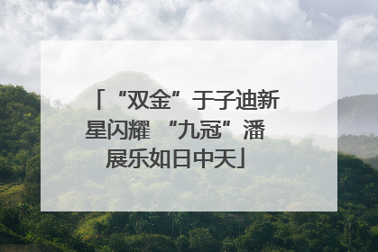 “双金”于子迪新星闪耀 “九冠”潘展乐如日中天