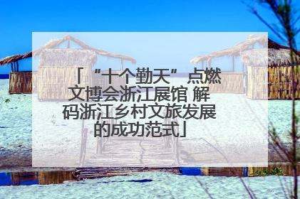 “十个勤天”点燃文博会浙江展馆 解码浙江乡村文旅发展的成功范式