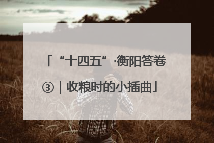 “十四五”·衡阳答卷③｜收粮时的小插曲