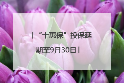 “十惠保”投保延期至9月30日