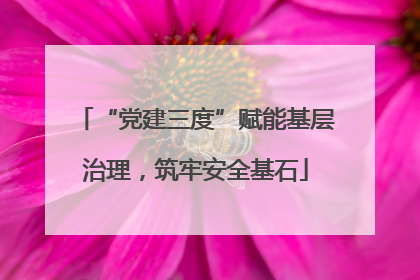 “党建三度”赋能基层治理，筑牢安全基石