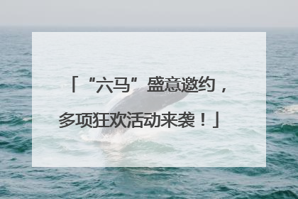 “六马”盛意邀约，多项狂欢活动来袭！