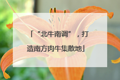 “北牛南调”，打造南方肉牛集散地