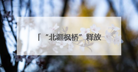 “北疆枫桥”释放基层治理新效能
