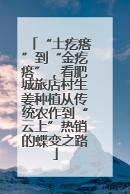 “土疙瘩”到“金疙瘩”，看肥城旅店村生姜种植从传统农作到“云上”热销的蝶变之路