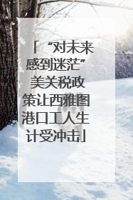 “对未来感到迷茫” 美关税政策让西雅图港口工人生计受冲击