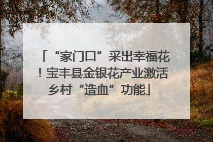 “家门口”采出幸福花！宝丰县金银花产业激活乡村“造血”功能