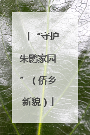“守护朱鹮家园”（侨乡新貌）