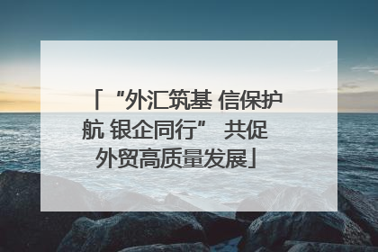 “外汇筑基 信保护航 银企同行” 共促外贸高质量发展