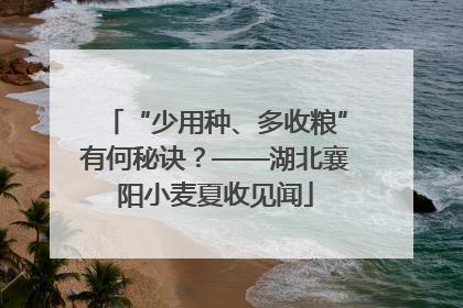 “少用种、多收粮”有何秘诀？——湖北襄阳小麦夏收见闻