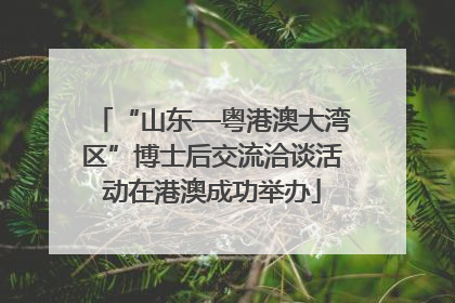 “山东—粤港澳大湾区”博士后交流洽谈活动在港澳成功举办