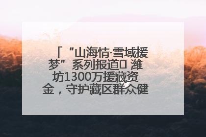 “山海情·雪域援梦”系列报道⑪ 潍坊1300万援藏资金，守护藏区群众健康“最后一公里”