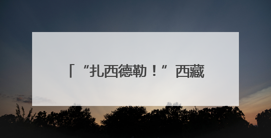 “扎西德勒！”西藏中学的孩子们遇上藏族同胞，“高原红石榴”绽放荆楚大地