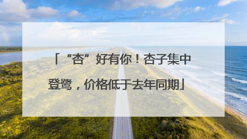 “杏”好有你！杏子集中登鹭，价格低于去年同期