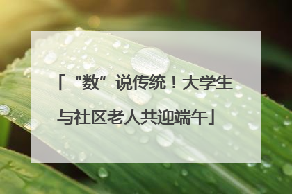 “数”说传统！大学生与社区老人共迎端午