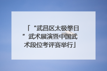 “武昌区太极拳日”武术展演暨中国武术段位考评赛举行