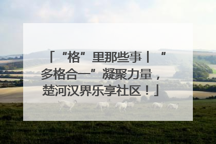 “格”里那些事丨“多格合一”凝聚力量，楚河汉界乐享社区！