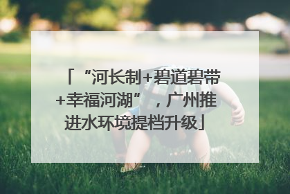 “河长制+碧道碧带+幸福河湖”，广州推进水环境提档升级
