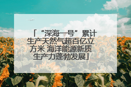 “深海一号”累计生产天然气超百亿立方米 海洋能源新质生产力蓬勃发展