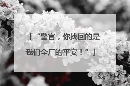 “警官，你找回的是我们全厂的平安！”