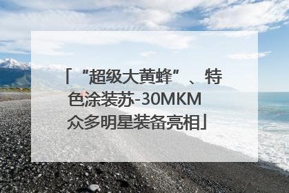 “超级大黄蜂”、特色涂装苏-30MKM 众多明星装备亮相