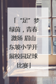 “足”梦绿茵，青春激扬 眉山东坡小学开展校园足球比赛