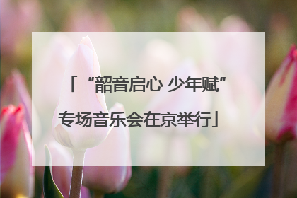 “韶音启心 少年赋”专场音乐会在京举行
