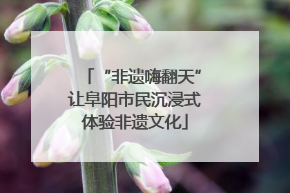 “非遗嗨翻天”让阜阳市民沉浸式体验非遗文化