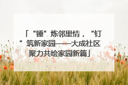“锤”炼邻里情,“钉”筑新家园——大成社区聚力共绘家园新篇